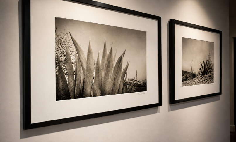 Photographie